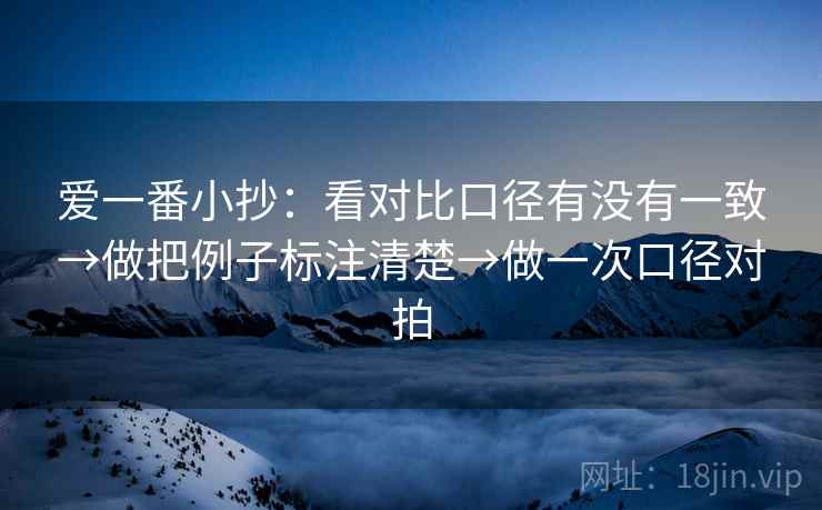 爱一番小抄：看对比口径有没有一致→做把例子标注清楚→做一次口径对拍